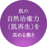 肌の自然治癒力（肌再生）を高める働き